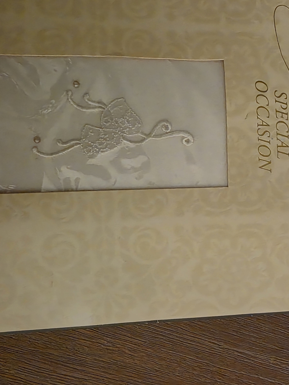 Elegant Vintage Wedding Cream Hosery with Embossed Bow